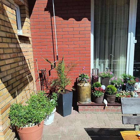 Ogrodek U Eli Daire Kolobrzeg Dış mekan fotoğraf